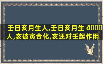 壬日亥月生人,壬日亥月生 🐅 人,亥被寅合化,亥还对壬起作用吗